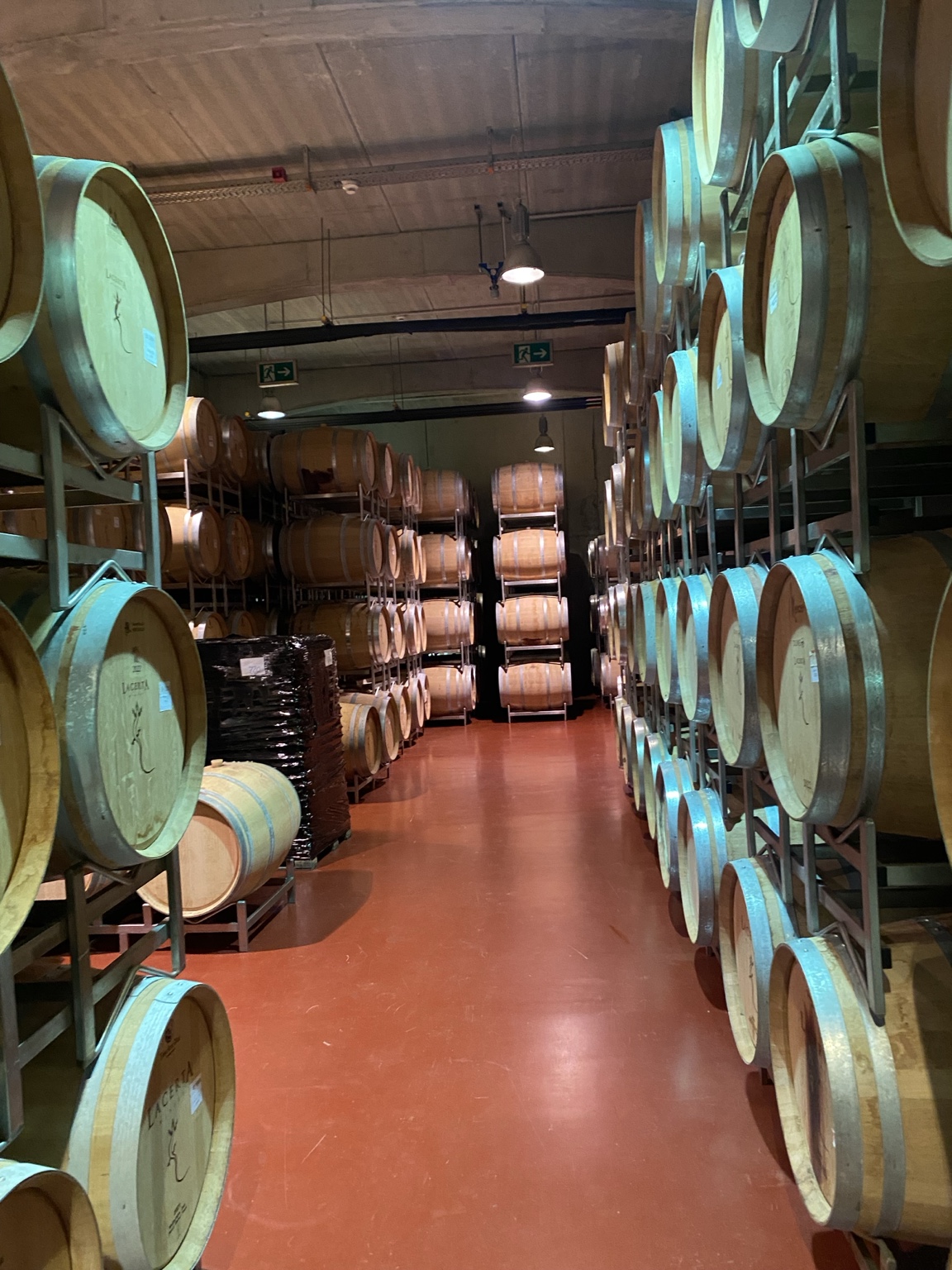 Oak barrels in the LacertA cellar