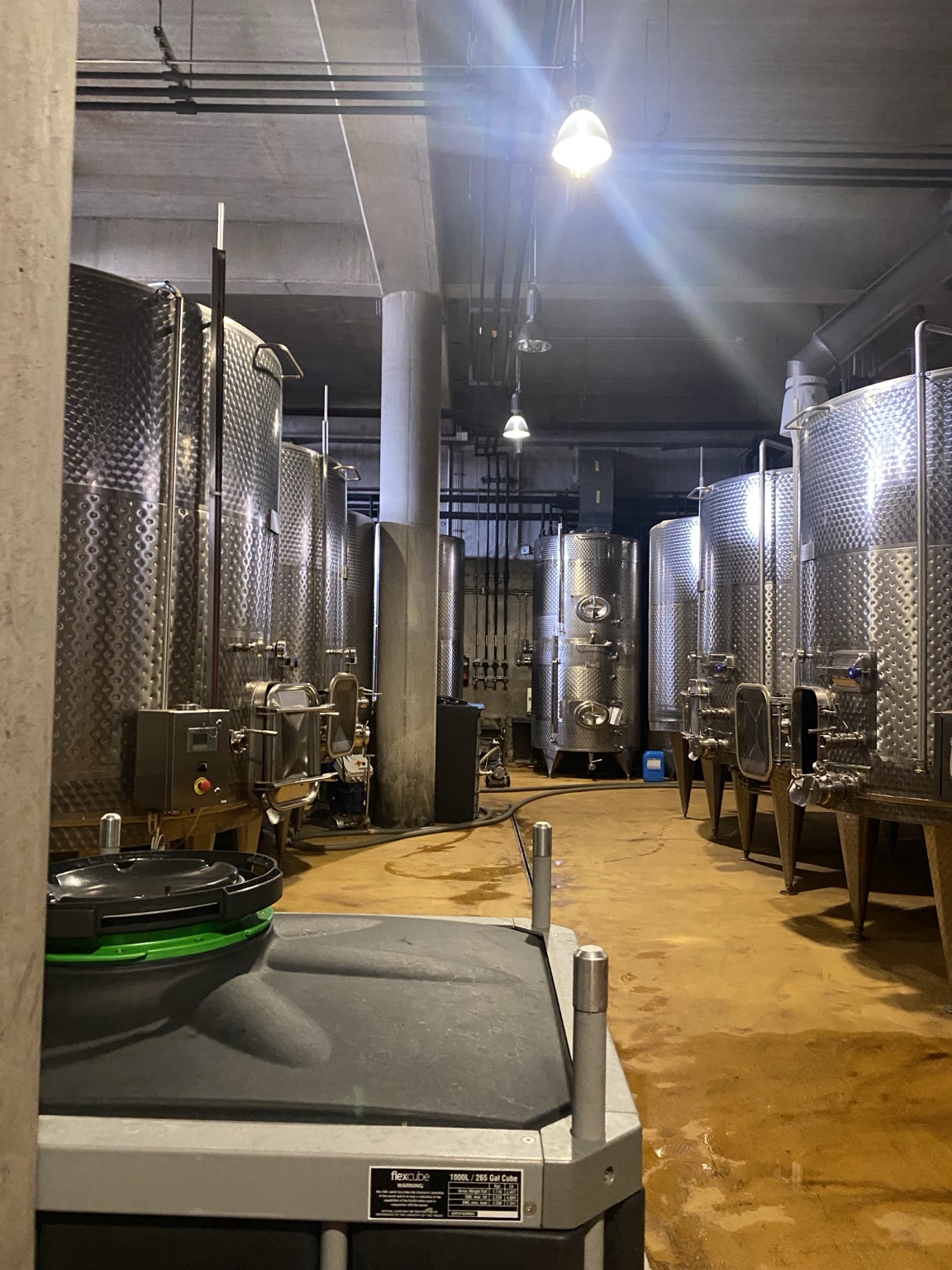 Stainless steel wine production tanks